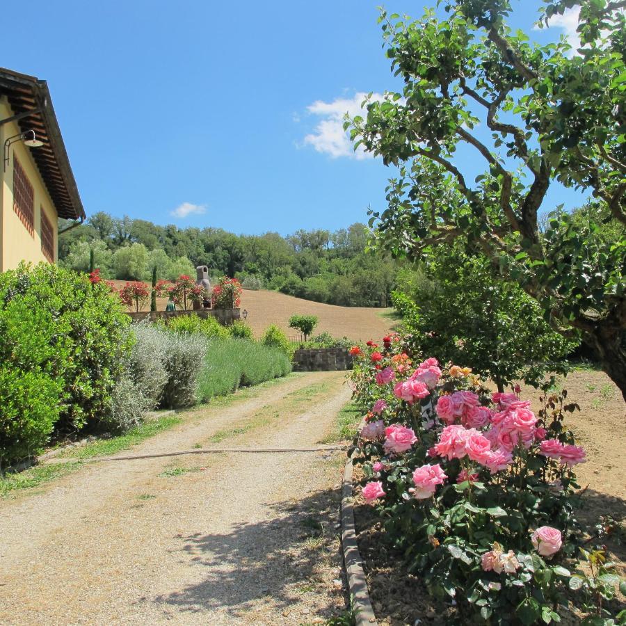 Agriturismo Podere Filicaia Сан Джовани Валдарно Екстериор снимка