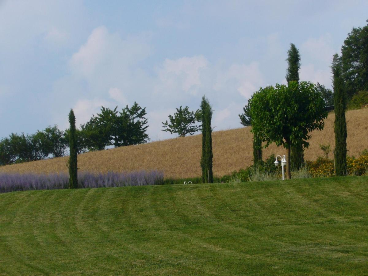 Agriturismo Podere Filicaia Сан Джовани Валдарно Екстериор снимка